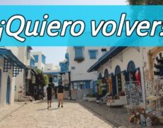 Descubre el encanto de una cena romántica con vistas al mar en Sidi Bou Said: la escapada perfecta para enamorados