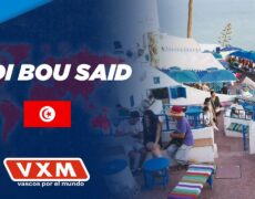 Descubre la magia de Sidi Bou Said en el Hotel Ibis: Tu oasis en Túnez