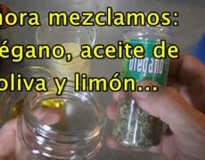 Descubre el auténtico sabor de Mechouia Tunez: la deliciosa receta tradicional que debes probar