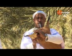 Descubre la magia de «El Aaych»: la música tunecina Mezoued que te cautivará