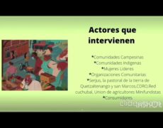 Descubre los secretos de recorrer los mercados locales y sumérgete en la auténtica cultura de cada destino